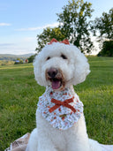 Dog Bandana - Harvest Bloom