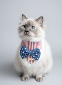 Dog Bandana - Stars and Stripes