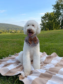 Dog Bandana - Oakley
