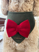 Dog Bandana - Ember
