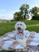 Dog Bandana - Harvest Bloom