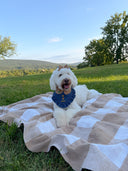 Dog Bandana - Aspen