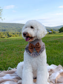 Dog Bandana - Oakley