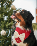 Dog Bandana - Holly