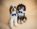 Dog Bandana - Coastal Girl
