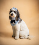 Dog Bandana - Coastal Girl