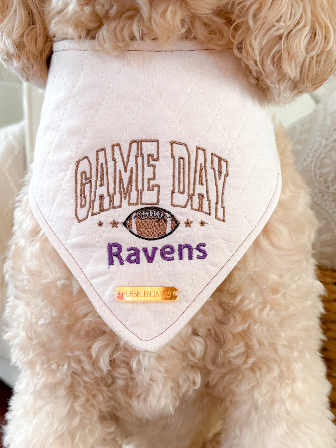 Game Day