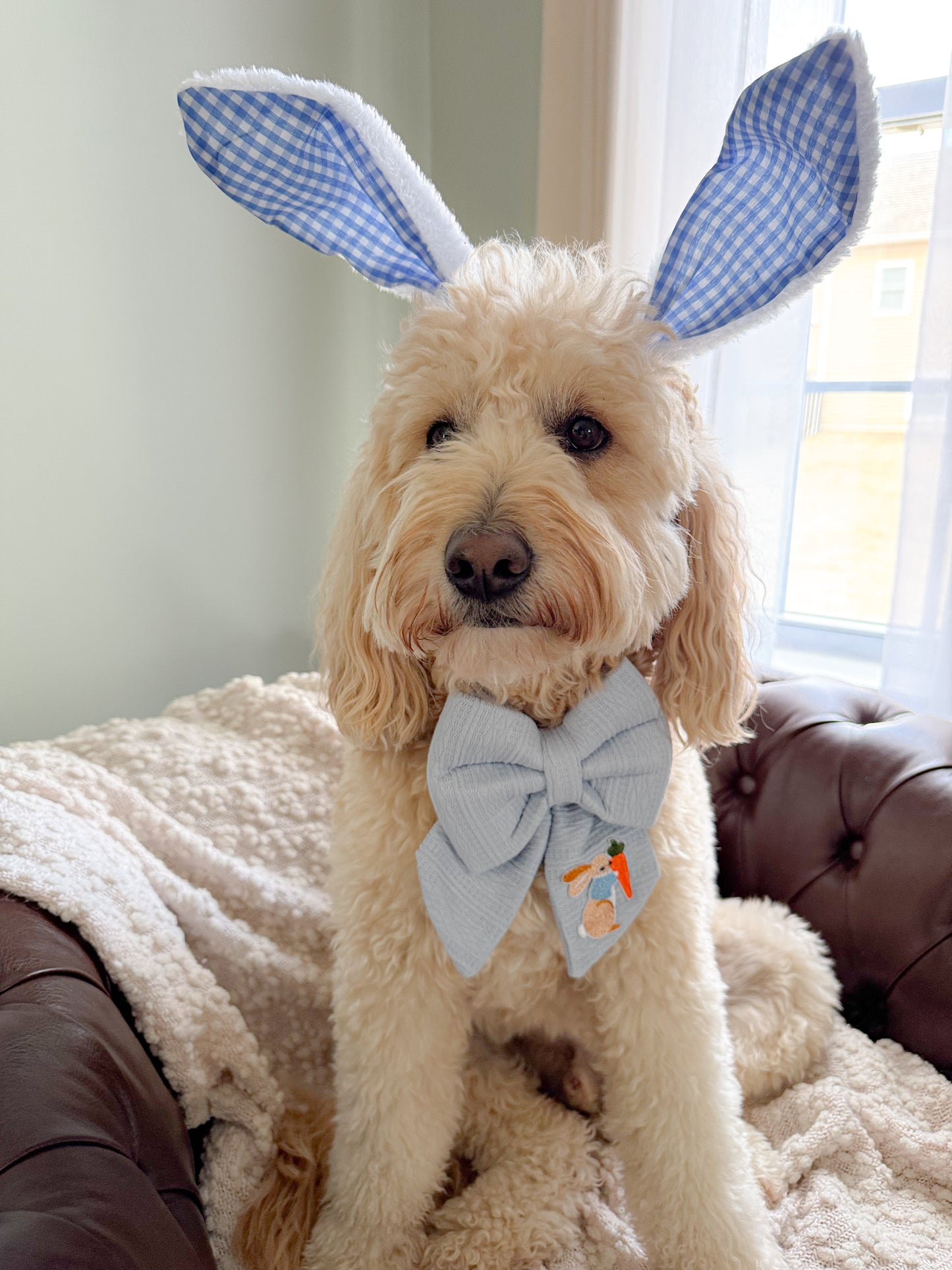 Blue Knit Sailor Bow