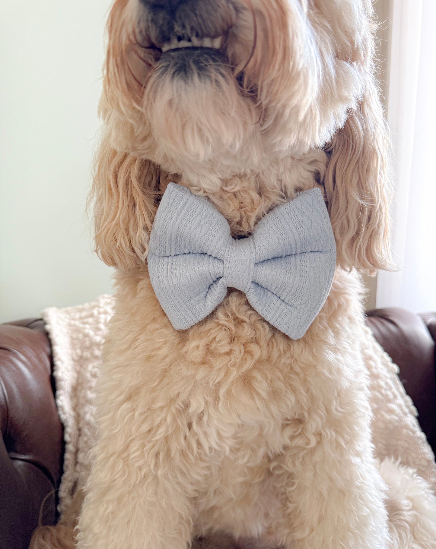 Blue Knit Bow Tie