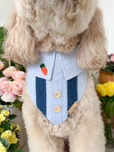 Dog Bandana - Benny