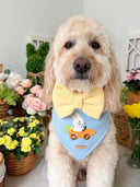 Yellow - Bow Tie