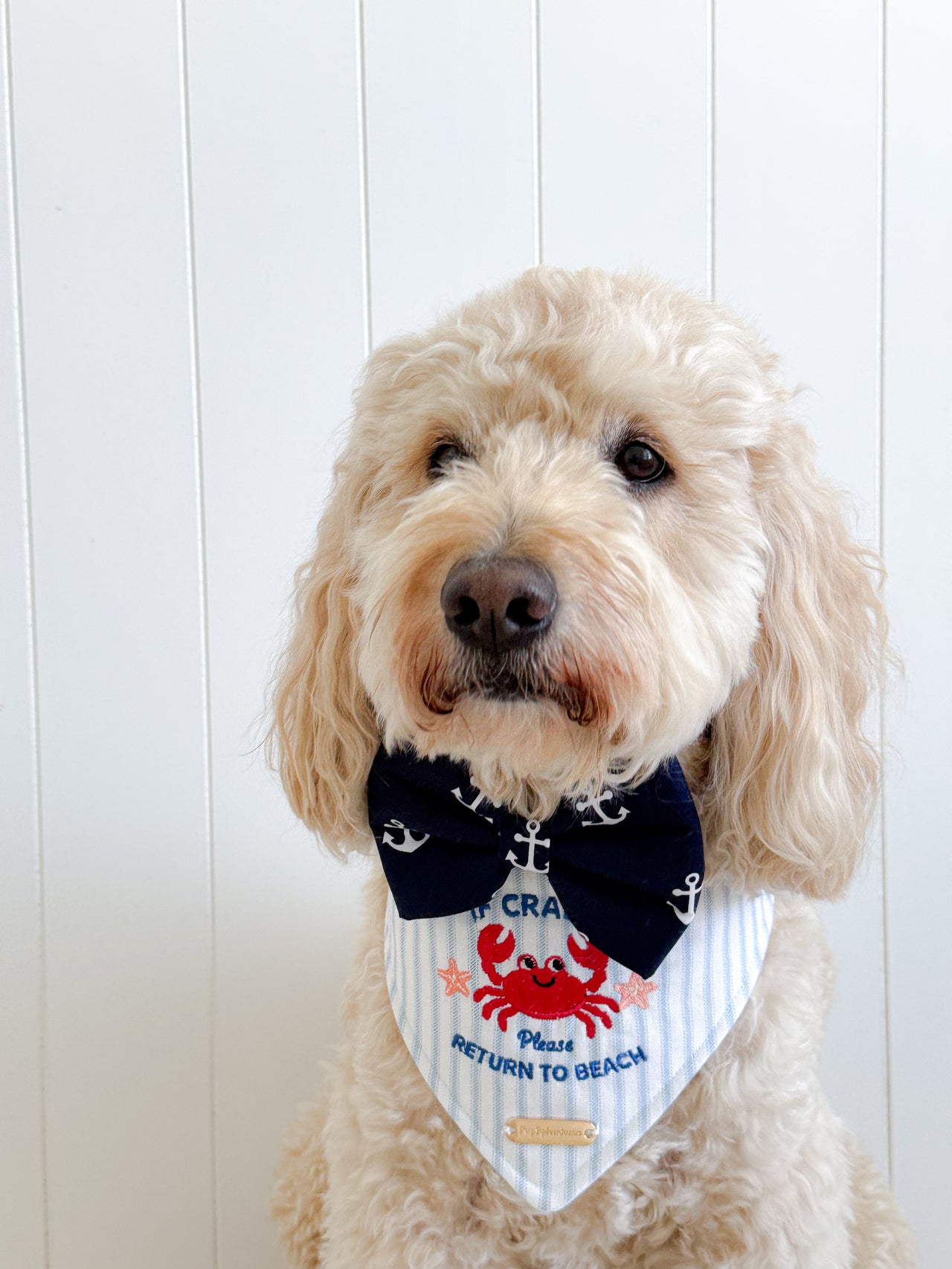 Crabby Bandana