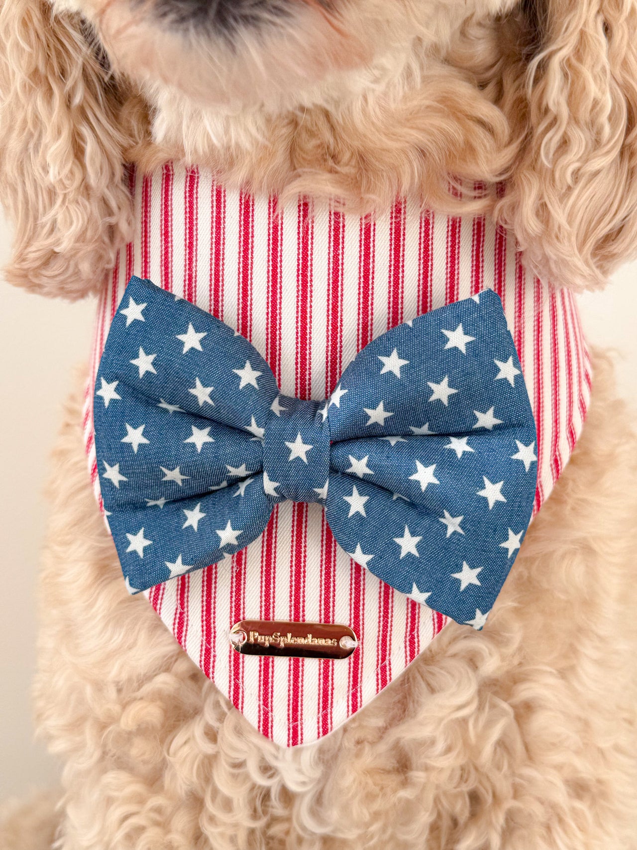 Dog Bandana - Stars & Stripes