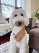 Dog Bandana - Cinnamon