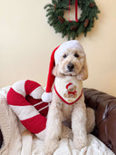 Dog Bandana - Santa Teddy Bear