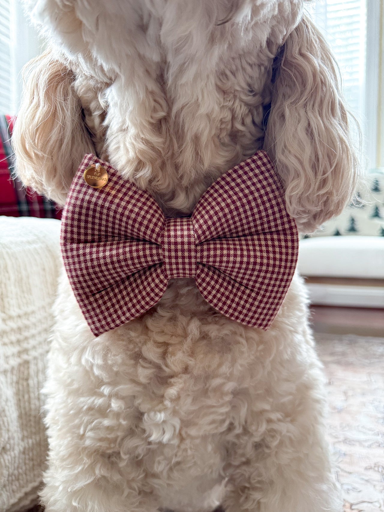 Gingham Bow Tie