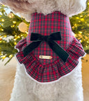 Dog Bandana - Bellen