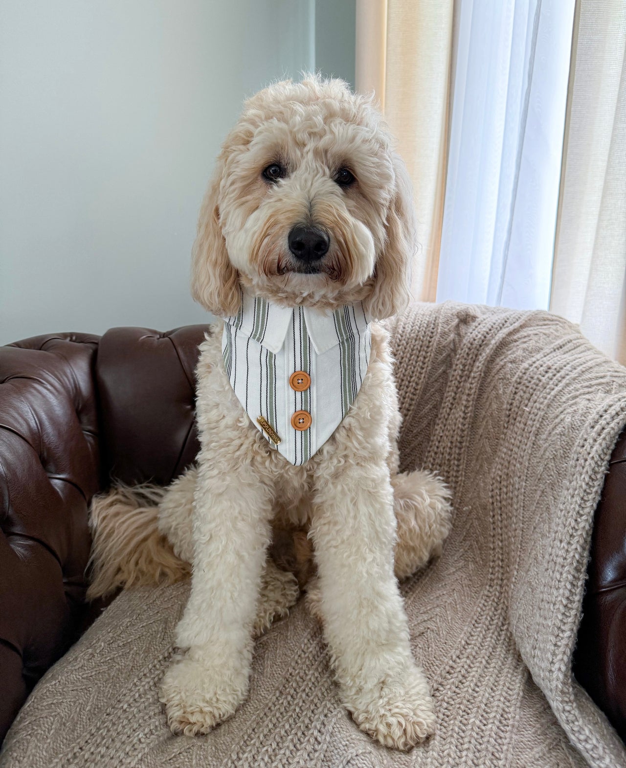 Luca