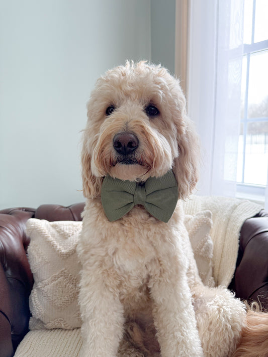 Olive Rib Knit Bow Tie