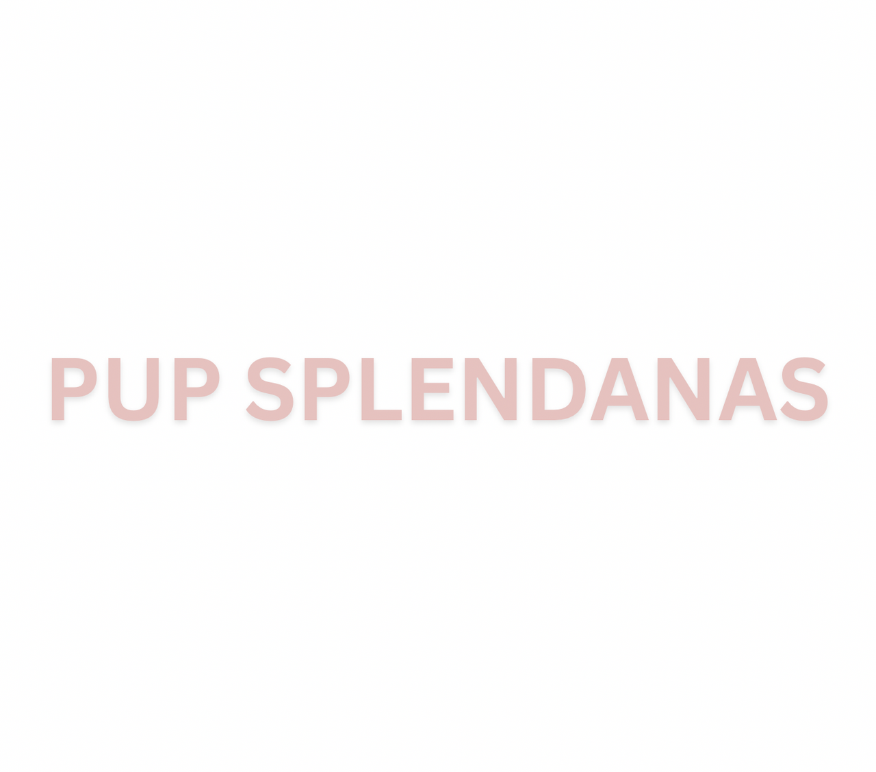 Pup Splendanas
