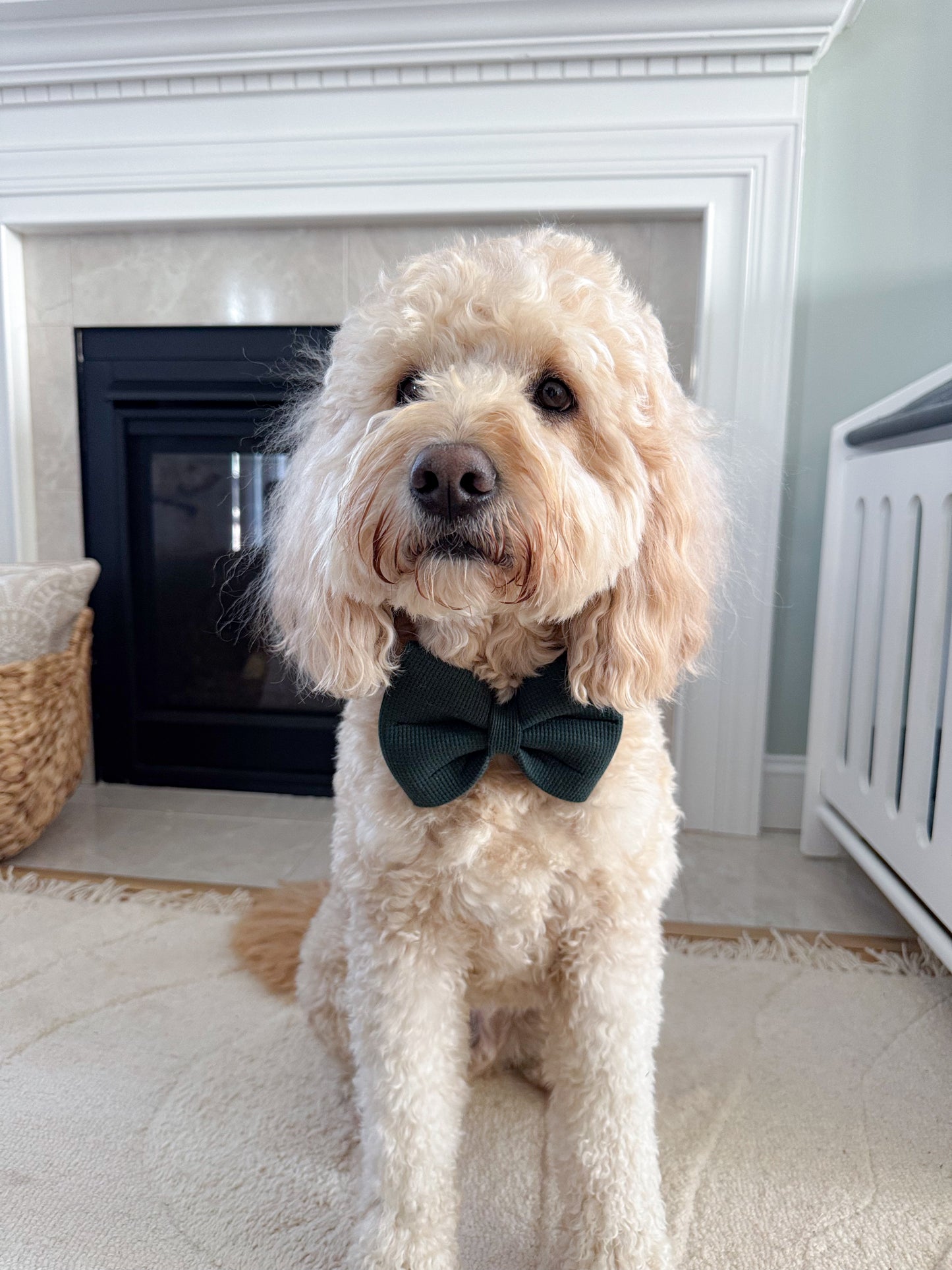 Dark Green Bow Tie